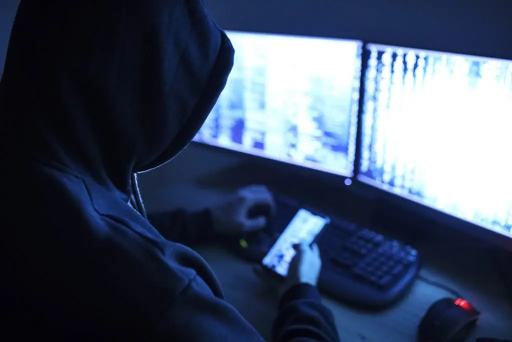 A person in a hoodie is using a computer.