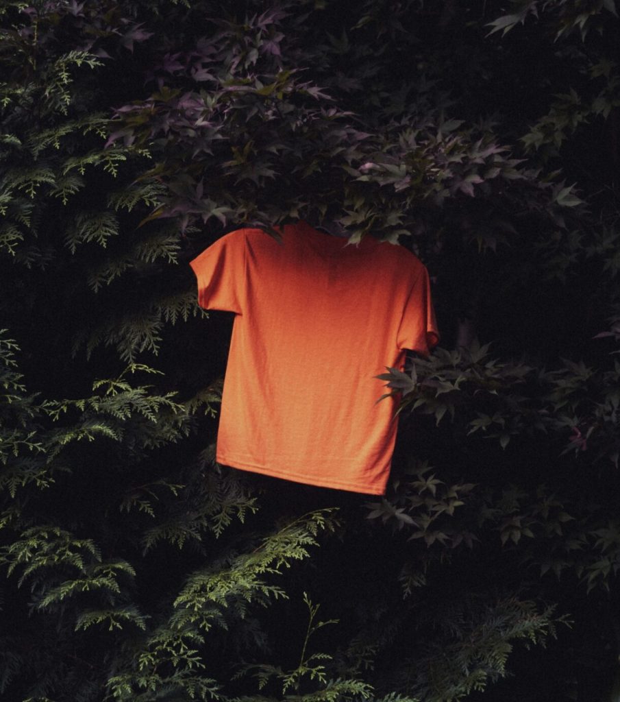 An orange shirt nestles amongst dark branches.