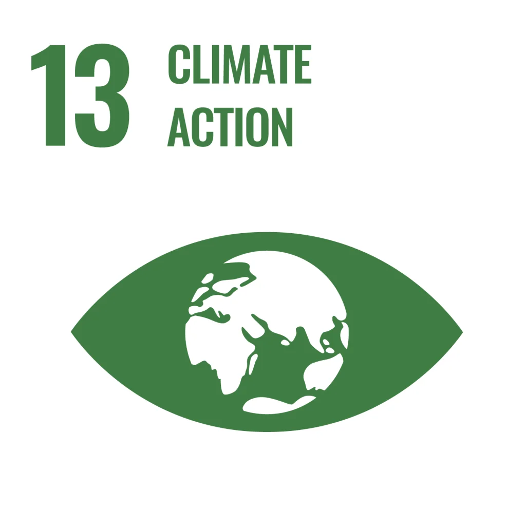 A green eye with the words 13 climate action.