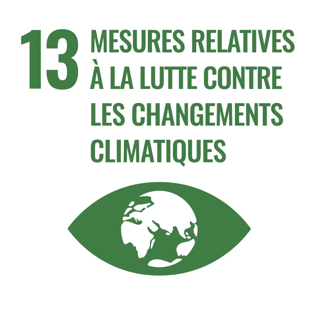 Un œil vert avec les mots 13 action climatique.