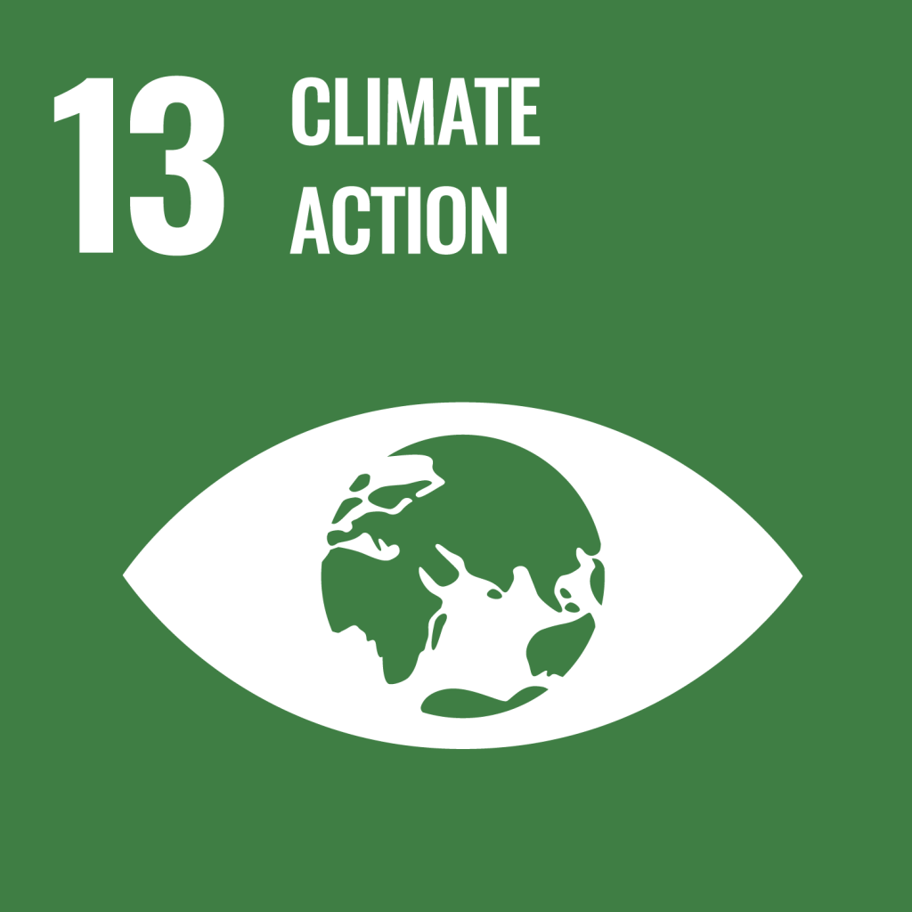 A green icon with the words 13 climate action.