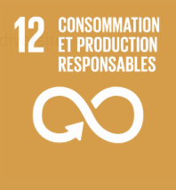 SDG 12 icon with a white infinity symbol and the text "Consommation et production responsables" on a gold background.