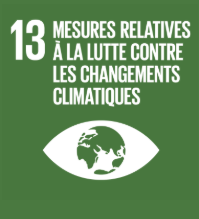 Green square with the number 13, text in French about climate action, and an icon of Earth inside an eye symbol.