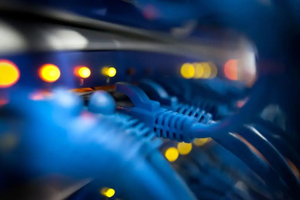 Close-up of blue network cables connected in a server with glowing red lights in the background, suggesting active data transmission.