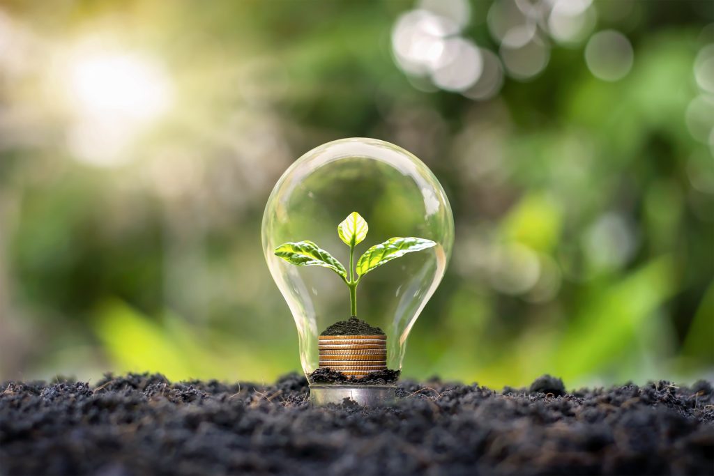 A small plant growing inside a light bulb, symbolic of renewable energy and sustainability, with soil and a blurry green background.