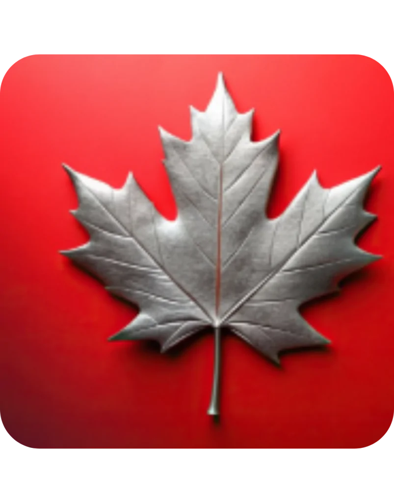 A silver maple leaf displayed on a solid red background.